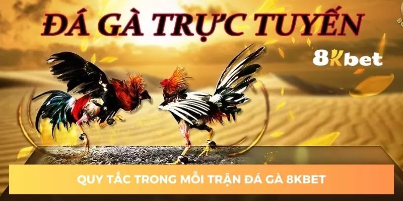Quy tắc sảnh chọi gà 8KBET bạn cần nắm rõ